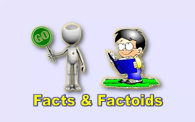 This image has an empty alt attribute; its file name is Facts_Factoids.web_.webp